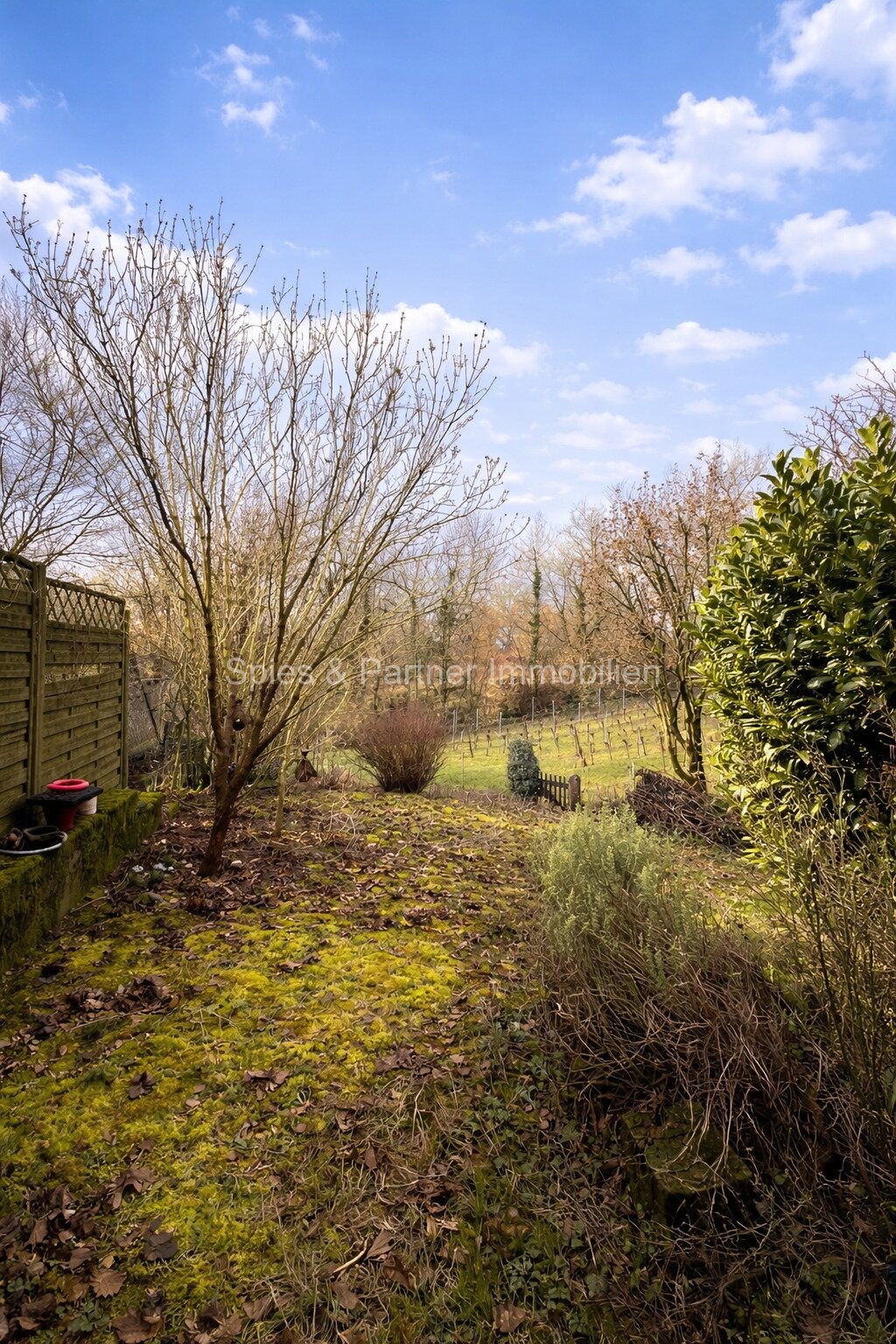 2 ZKB mit Wintergarten, 1 Stellplatz und Garten 